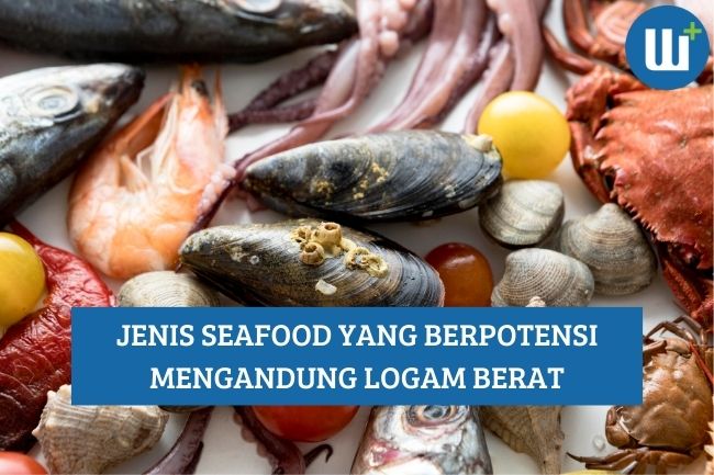 Beberapa Jenis Seafood yang Berpotensi Mengandung Logam Berat